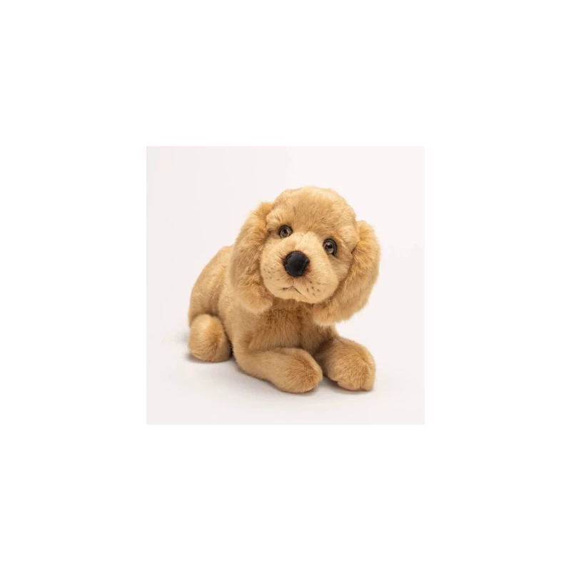 Chien Théo Cocker Allongé 35 cm
