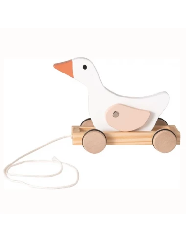 Canard a tirer