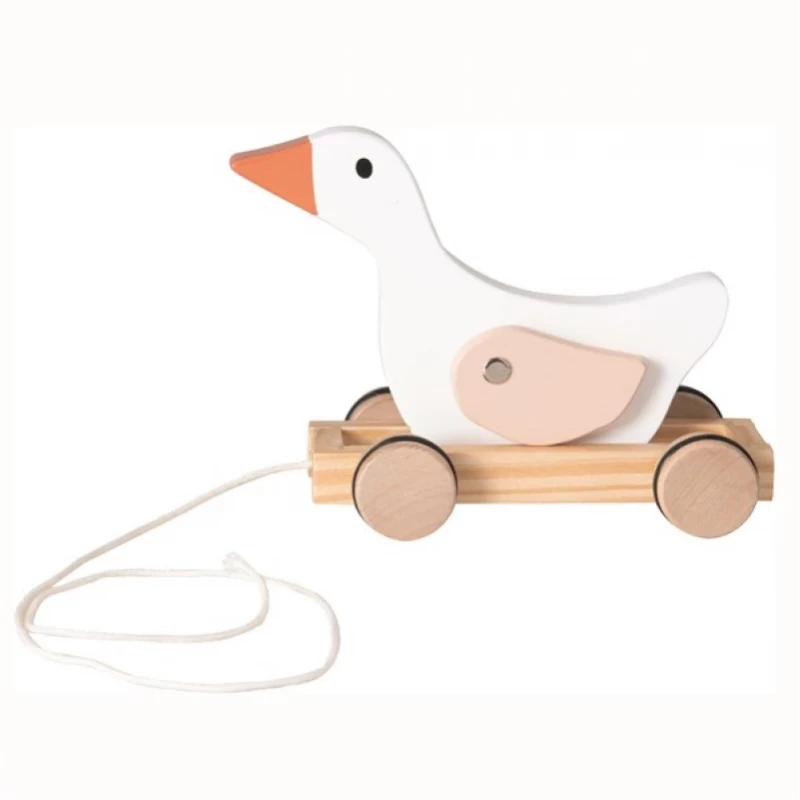 Canard a tirer